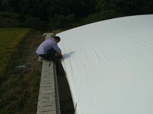 膜材应用新篇章：揭秘高效使用之道