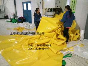 国产膜材：崛起中的挑战与未来之路(图1)