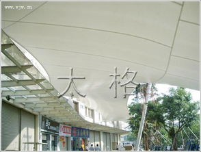 米乐膜材价格波动解析：市场行情与消费者指南(图1)