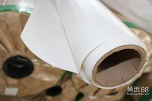 国产PVC建筑膜材厂家崛起：揭秘行业新势力