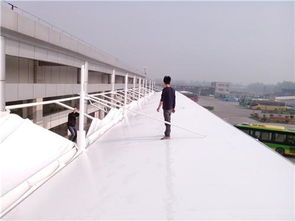 广东膜材：引领行业革新，揭秘未来绿色建筑新趋势