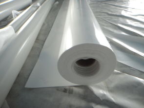 《PTFE膜材：揭秘这一神奇材料的奥秘与应用》