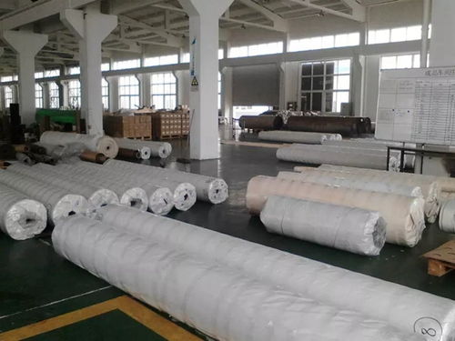 膜材加工定制：引领未来建筑新风尚(图1)