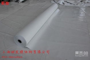 膜材生产的革新之路：揭秘各类膜材的奥秘与未来趋势