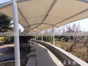 《膜材400g：揭秘新型环保建材的奥秘与应用之道》