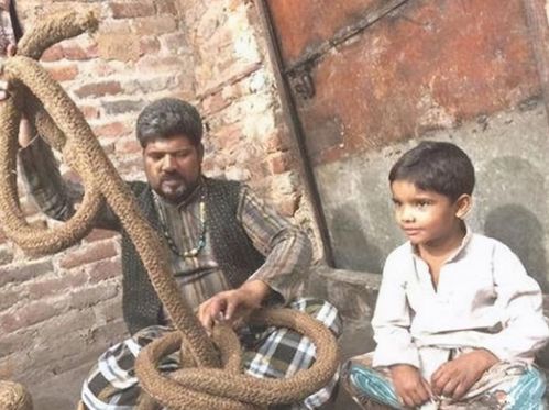 印膜材“吃肚子”：揭秘其神秘消化过程，如何呵护你的家居健康？