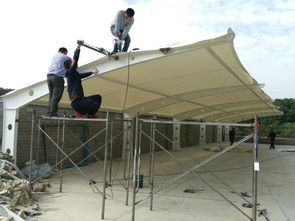 揭秘平冈膜材：揭秘其生产国之谜，行业洞察与选购指南