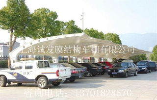 楚雄法拉利膜材厂家：揭秘汽车膜材行业的隐形冠军(图1)