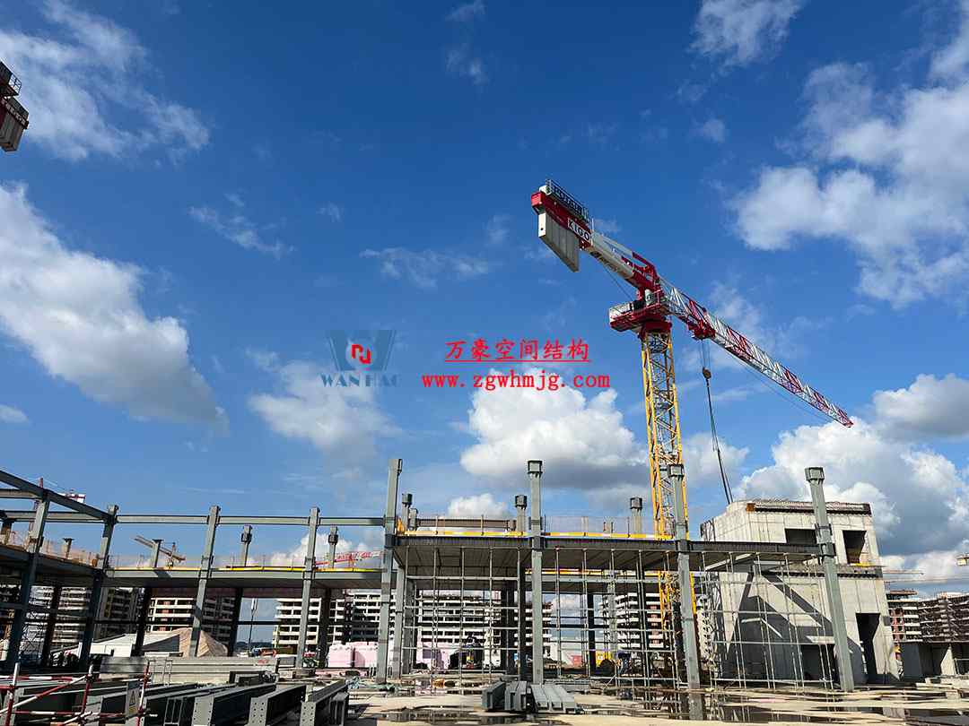 塞尔维亚会展中心ETFE膜结构 塞尔维亚会展中心ETFE膜结构