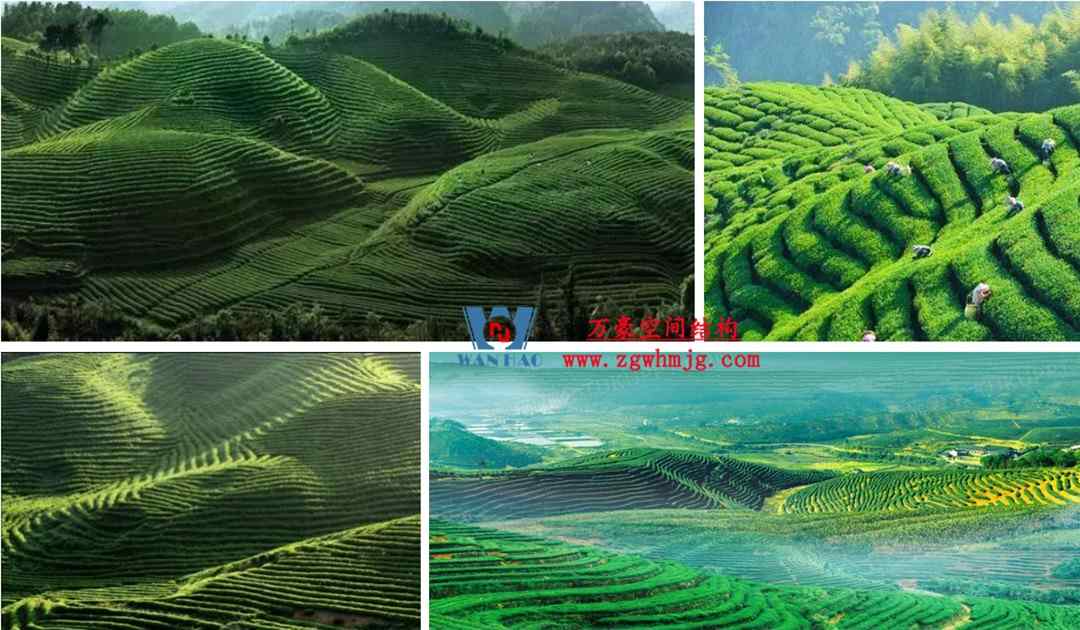 博多森谷项目中庭etfe膜结构工程