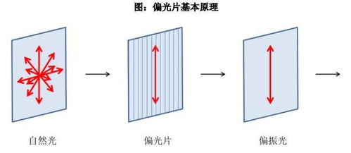 PVA膜材：未来包装行业的“绿色守护者”？