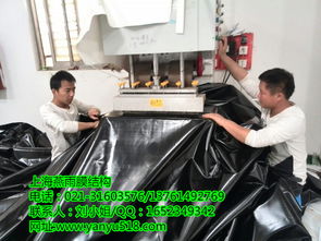 《上海达亚膜材:引领行业发展,揭秘高性能薄膜的未来》 《上海达亚膜材:引领行业发展,揭秘高性能薄膜的未来》