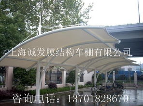 车棚膜材进口与国产之争:谁将引领未来市场?(图1) 车棚膜材进口与国产之争:谁将引领未来市场?(图1)