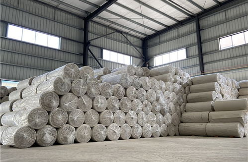 《膜材定制：揭秘现代建筑之美背后的科技力量》(图1)