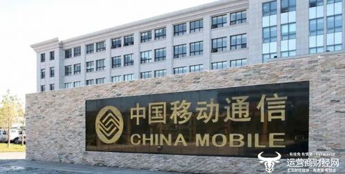 中国膜材有限责任公司：引领膜材行业革新，揭秘绿色建材的“隐形”力量