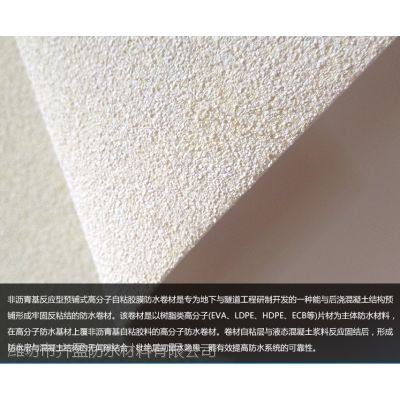 《未来材料之星：高分子膜材的无限可能及应用解析》(图1)