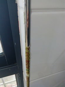 《片材保护膜为何难撕?揭秘背后的技术挑战与解决方案》 《片材保护膜为何难撕?揭秘背后的技术挑战与解决方案》