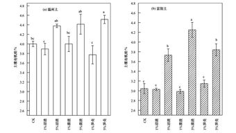 膜材收缩率影响因素探析:揭秘影响膜材性能的关键因素 膜材收缩率影响因素探析:揭秘影响膜材性能的关键因素