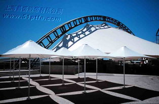 PTFE膜材：揭秘其独特的性能与广泛应用(图1)