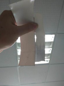 PVDF膜材风头正劲,全国市场迎来销售热潮——揭秘其畅销背后的秘密(图1) PVDF膜材风头正劲,全国市场迎来销售热潮——揭秘其畅销背后的秘密(图1)