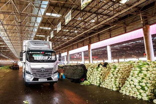 全国最大膜材批发市场揭秘：膜材新纪元下的变革之路