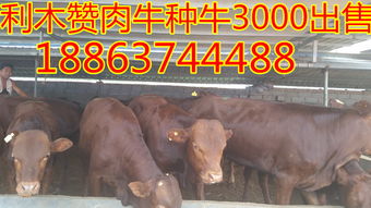 8000牛高强度膜材：揭秘未来建筑材料的革新力量