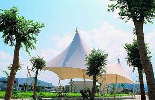 中国膜材厂家崛起：揭秘行业新动向与未来趋势