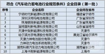 汽车动力蓄电池行业规范条件揭秘：未来之路在何方？(图1)