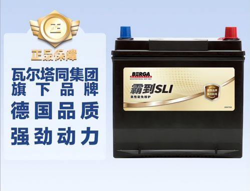 揭秘汽车蓄电池王者：哪个品牌才是您的最佳选择？(图1)