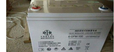 揭秘汽车蓄电池型号含义：如何挑选合适的电池？(图1)