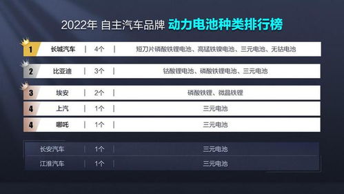《动力电池新格局:2025年汽车动力电池品牌排行榜揭秘》 《动力电池新格局:2025年汽车动力电池品牌排行榜揭秘》