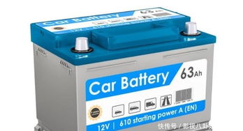 深度解析：谁才是汽车电池领域的佼佼者？(图1)