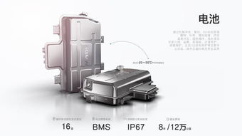 新能源汽车电池组：未来动力之源，揭秘其技术革新与市场前景(图1)