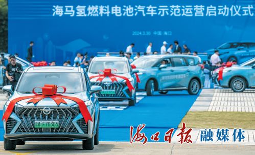 氢燃料电池汽车,价格几何?揭秘氢能时代的汽车投资之道 氢燃料电池汽车,价格几何?揭秘氢能时代的汽车投资之道