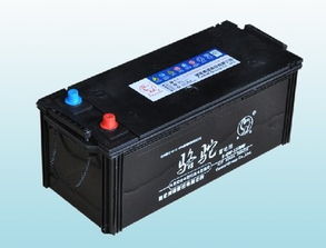 《骆驼汽车电池价格揭秘：性价比之选还是高投入的保障？》(图1)