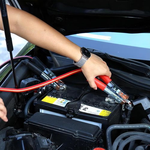 汽车蓄电池翻新:如何让“老车”重获新生?(图1) 汽车蓄电池翻新:如何让“老车”重获新生?(图1)