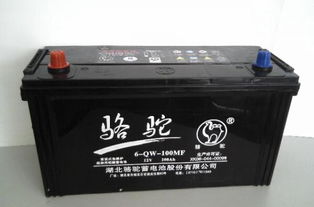 电动汽车电池品牌风云录：揭秘市场格局与选购指南(图1)