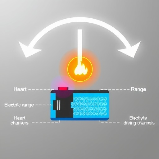 电动汽车电池容量：续航里程的“心脏”如何跳动？(图2)