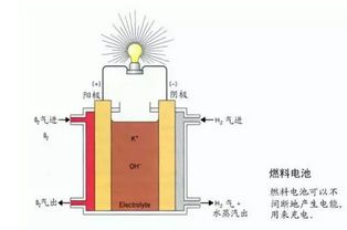 氢燃料电池汽车：未来交通的绿色动力之谜？