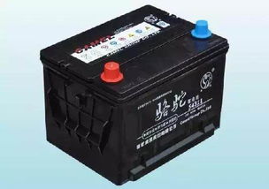 《汽车蓄电池市场风云变幻：未来趋势与消费者指南》(图1)