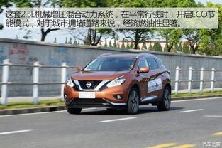 揭秘楼兰混动汽车电池寿命：续航之谜，如何延长？(图1)