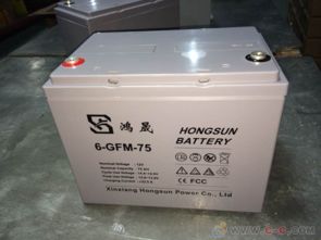 《电动汽车蓄电池寿命：如何延长你的“心脏”寿命？》(图1)