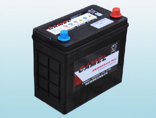 汽车用铅蓄电池：面临挑战与转型的未来之路(图1)