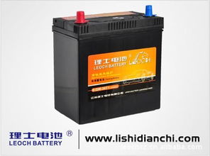 《理士汽车蓄电池：揭秘其性能与耐用性之谜》