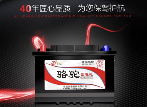 汽车骆驼蓄电池：揭秘其性能与耐用性，如何选择更适合自己的电池？(图1)