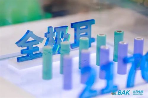 未来能源革命：锂硫电池技术引领行业新风向(图1)