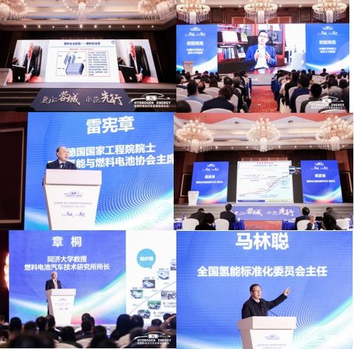 《电池革命：揭秘未来能源存储的神秘面纱——电池技术深度解析视频讲解》