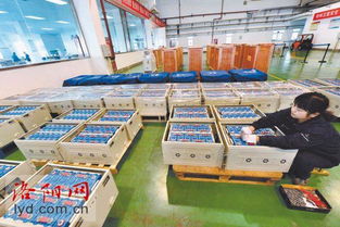 锂电池组装技术革新：揭秘未来能源存储的“心脏”(图1)