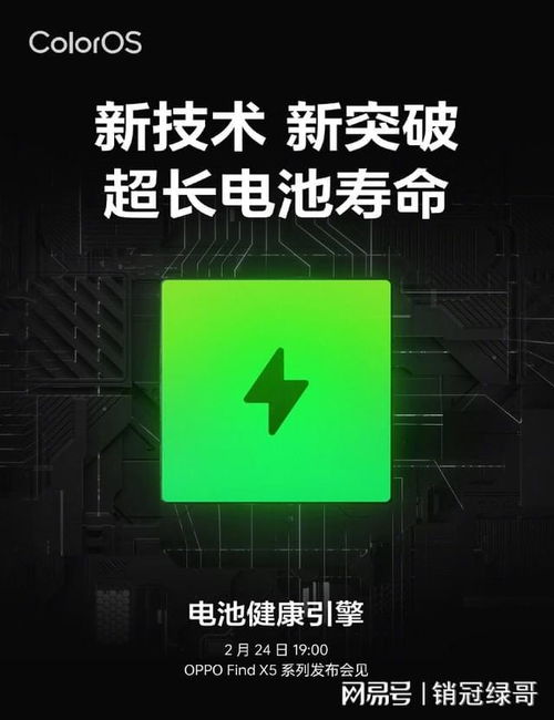 电池技术新纪元：国外突破引领未来能源革命？