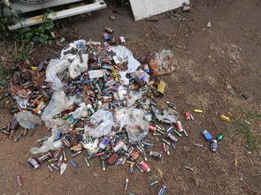 废旧电池提炼铅技术：绿色循环经济的未来之路？(图1)